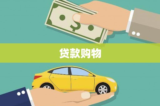 水里贷款购物