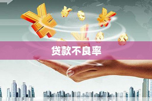 江宁贷款不良率
