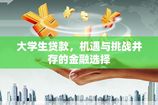 内湖大学生贷款，机遇与挑战并存的金融选择