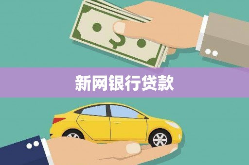 金湖新网银行贷款
