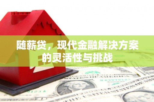 巨野随薪贷，现代金融解决方案的灵活性与挑战