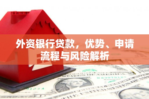 湖西外资银行贷款，优势、申请流程与风险解析