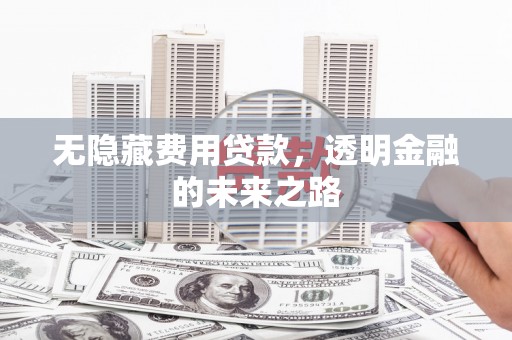 鱼池无隐藏费用贷款，透明金融的未来之路