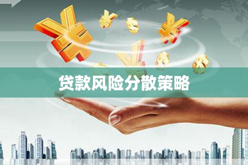 崇仁贷款风险分散策略