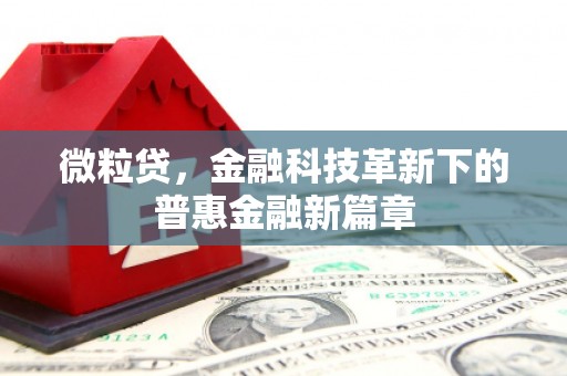 营口微粒贷，金融科技革新下的普惠金融新篇章