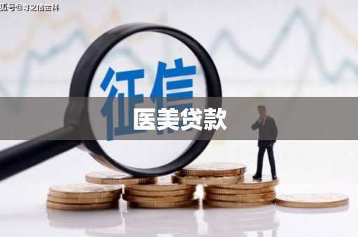 苓雅医美贷款