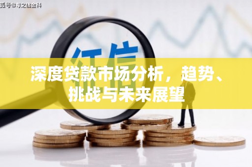 岱山深度贷款市场分析，趋势、挑战与未来展望
