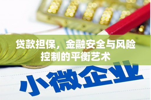 南涧贷款担保，金融安全与风险控制的平衡艺术