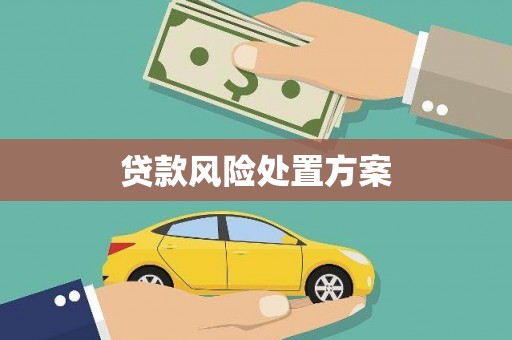 田尾贷款风险处置方案