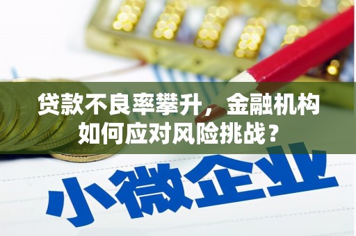 君山贷款不良率攀升，金融机构如何应对风险挑战？