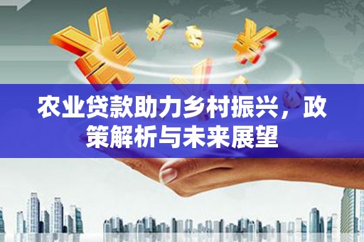 石龙农业贷款助力乡村振兴，政策解析与未来展望
