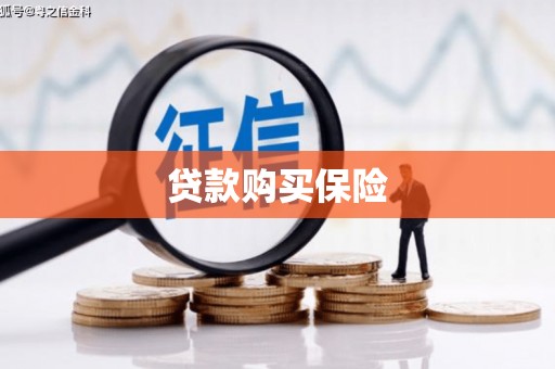 埔心贷款购买保险