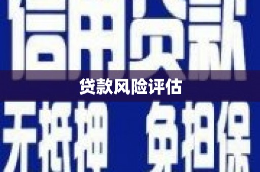 琼山贷款风险评估