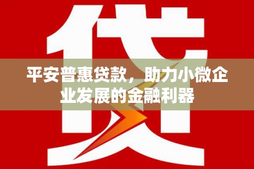 龙游平安普惠贷款，助力小微企业发展的金融利器