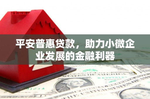 市中区平安普惠贷款，助力小微企业发展的金融利器