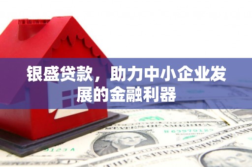 丰城银盛贷款，助力中小企业发展的金融利器
