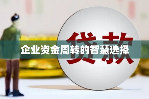 郫县企业资金周转的智慧选择