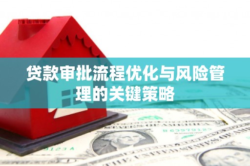 鹤庆贷款审批流程优化与风险管理的关键策略