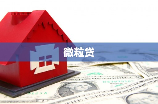 纳溪微粒贷