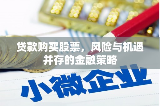 大丰贷款购买股票，风险与机遇并存的金融策略