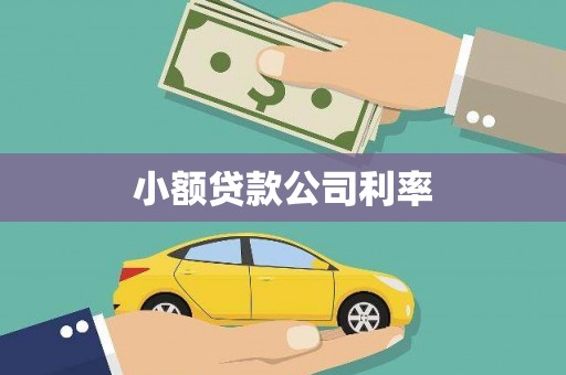 肃南小额贷款公司利率
