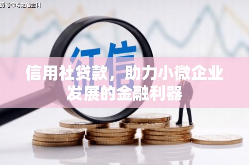 代县信用社贷款，助力小微企业发展的金融利器