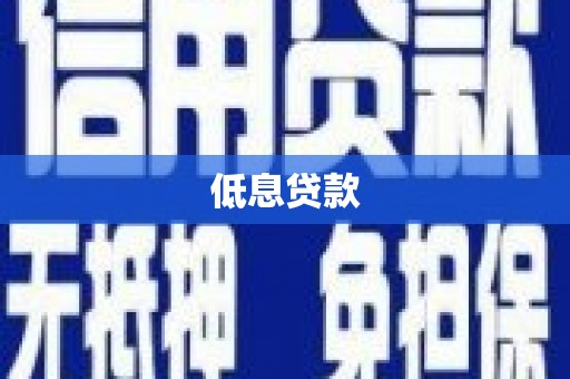 崖州低息贷款