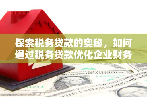 绥阳探索税务贷款的奥秘，如何通过税务贷款优化企业财务