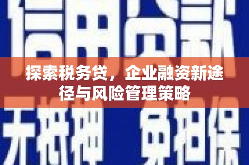 固始探索税务贷，企业融资新途径与风险管理策略
