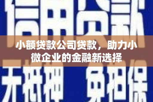 依兰小额贷款公司贷款，助力小微企业的金融新选择