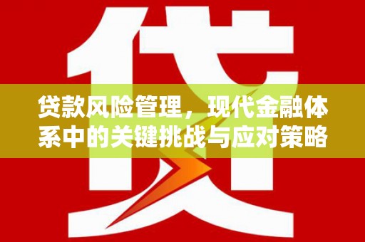 宜章贷款风险管理，现代金融体系中的关键挑战与应对策略