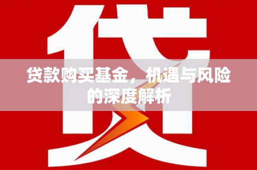 宁夏贷款购买基金，机遇与风险的深度解析