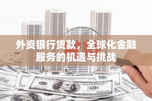 阿拉山口外资银行贷款，全球化金融服务的机遇与挑战