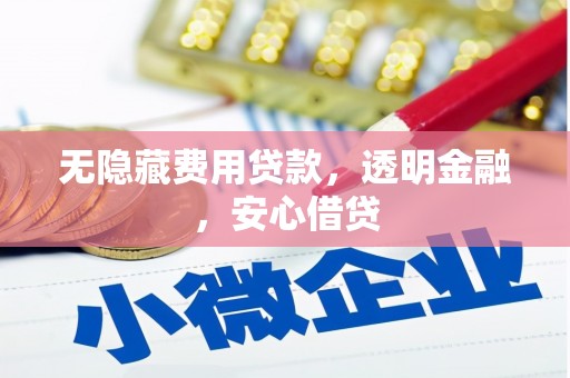泰州无隐藏费用贷款，透明金融，安心借贷