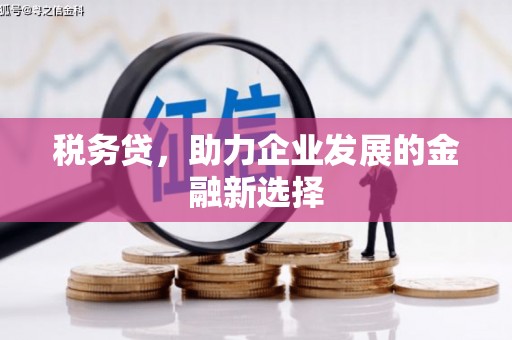 海南税务贷，助力企业发展的金融新选择
