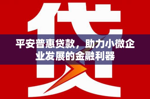 富拉尔基平安普惠贷款，助力小微企业发展的金融利器