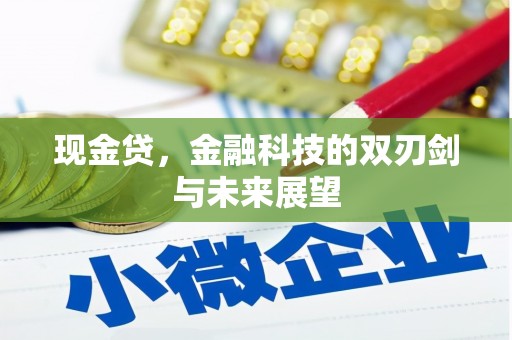 和林格尔现金贷，金融科技的双刃剑与未来展望
