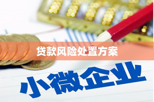 修文贷款风险处置方案