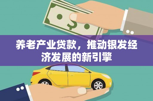 广水养老产业贷款，推动银发经济发展的新引擎