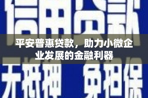 张家港平安普惠贷款，助力小微企业发展的金融利器