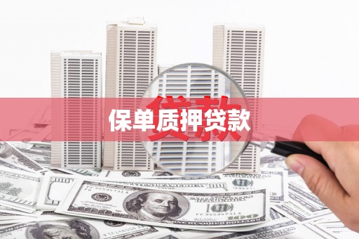 修武保单质押贷款