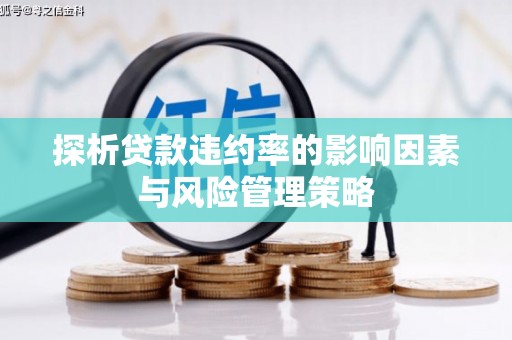 舞阳探析贷款违约率的影响因素与风险管理策略