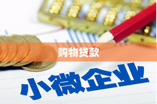 武功购物贷款