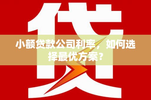 吕梁小额贷款公司利率，如何选择最优方案？