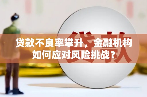 栖霞贷款不良率攀升，金融机构如何应对风险挑战？