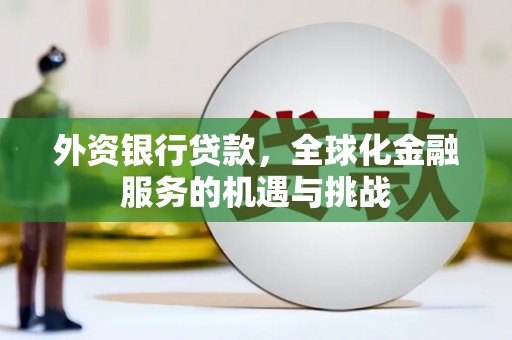 玄武外资银行贷款，全球化金融服务的机遇与挑战