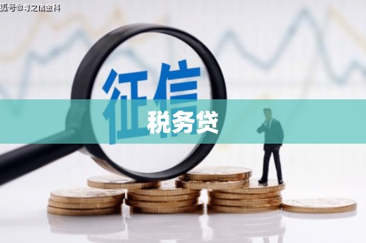 中埔税务贷