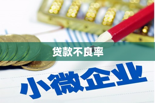 和静贷款不良率