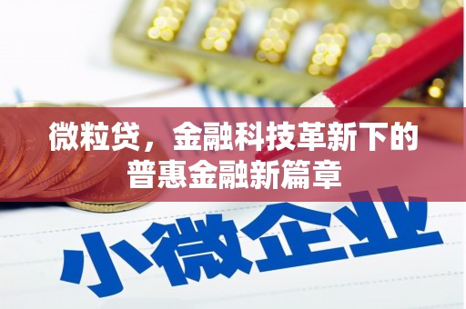 石鼓微粒贷，金融科技革新下的普惠金融新篇章