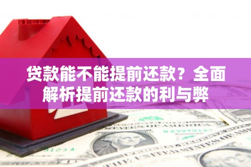 东区贷款能不能提前还款？全面解析提前还款的利与弊